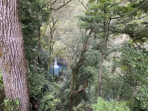 旅行記 修善寺 浄蓮の滝2