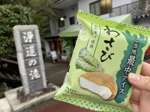 旅行記 修善寺 浄蓮の滝 わさびアイス