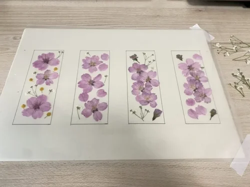 押し花　しおり　作り方　さくら