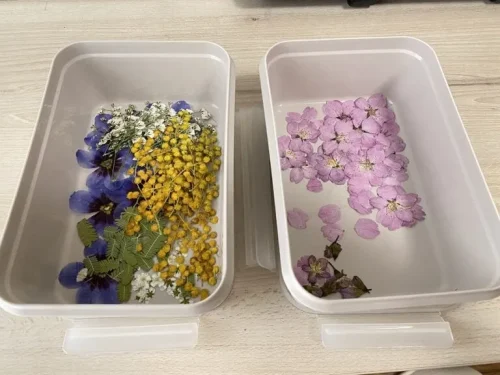 押し花 完成