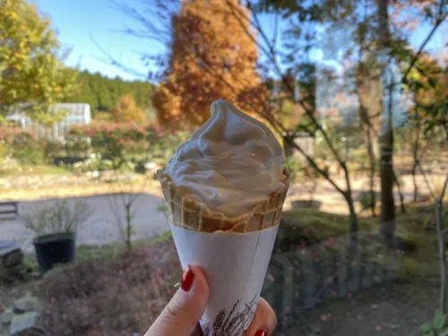 ASO MILK FACTORY ソフトクリーム