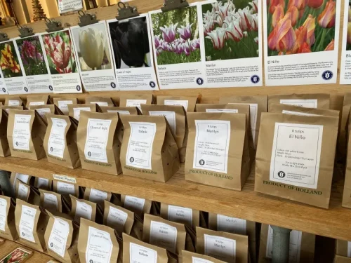 Amsterdam Tulip Museum チューリップの球根