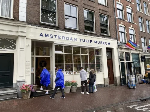 Amsterdam Tulip Museum
