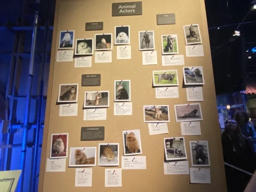 映画で登場した動物を演じた動物たち