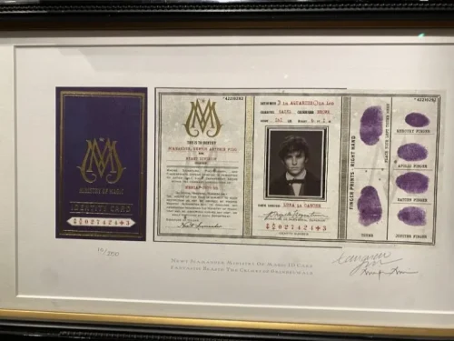 House of MinaLima3