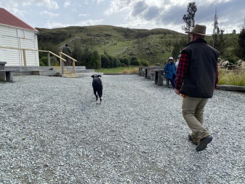 ウォルターピーク牧場